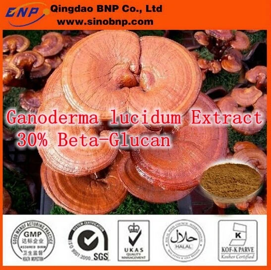 

Hotsale 3bottles Highest Pure Ganoderma lucidum Extract 30% Beta-Glucan 500mg x270capsule improves resistance against diseases