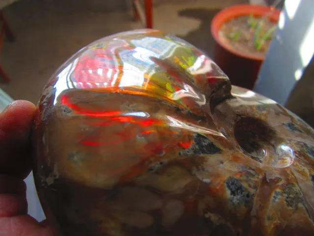 Cheap 1172g(2.57 lb) Iridescent Ammonite Ammolite Specimen Fossil Madagascar DFB121