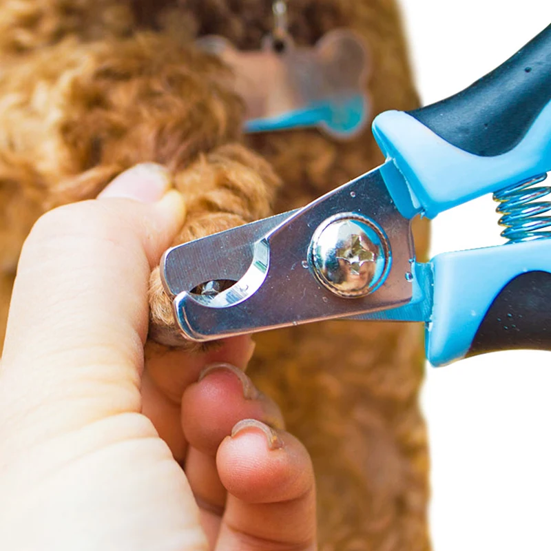 Professional Pet Nail Scissors, Stainless Steel Animal Dog Cat Nails