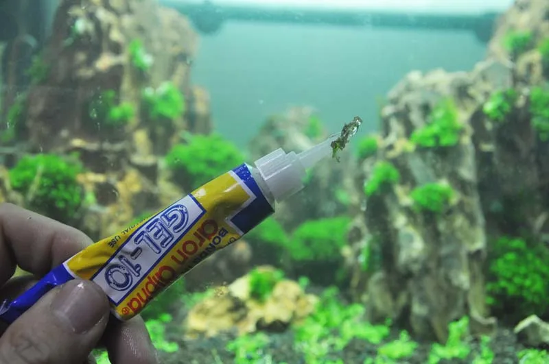 Buy Coral frags sps base and water plants moss fixed