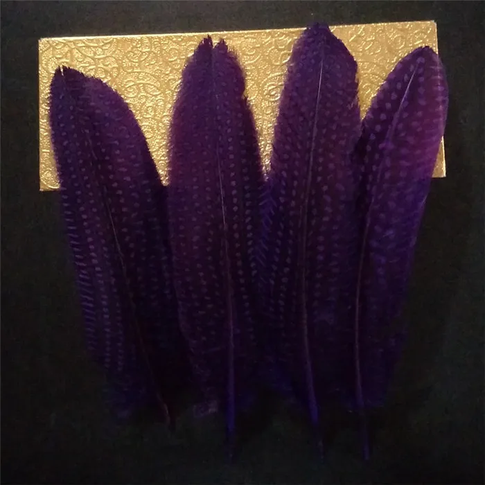pearl pheasant feathers 1 (4)