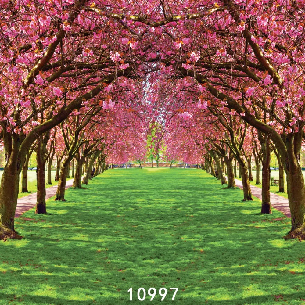 Spring Flower Tree Garden Path Photography Backdrops Backgrounds For Photo  Studio Photo Shoot Vinyl Cloth Computer Printed 3d - Backgrounds -  AliExpress