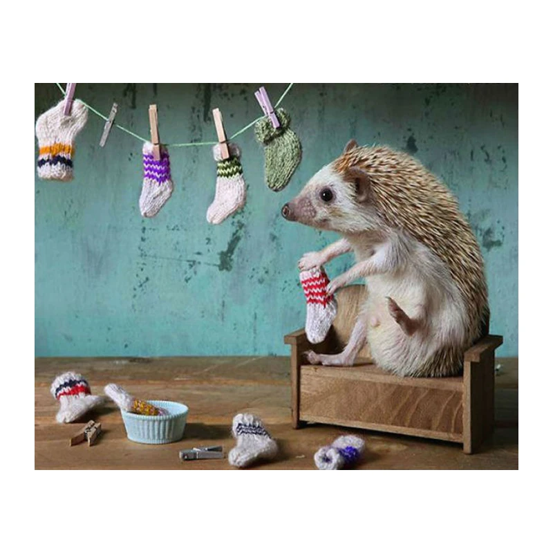 Hedgehog socks 