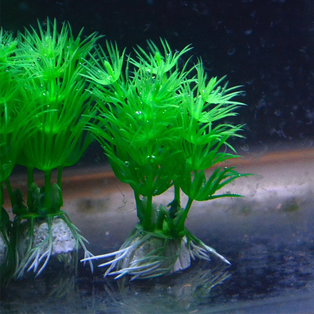 Aquazoo Aquarium Accessories Starfish Tank Ornament Silicone Coral Plant Decorations Artificial Ornament