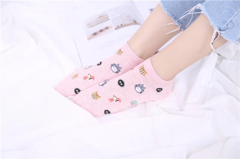 8562488917_236421210