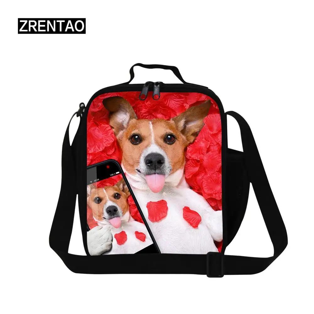 fanny lunch bag