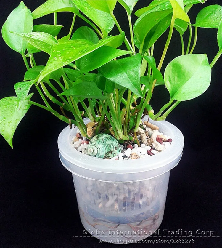 Od 24cm Id 19cm Hydroponic Plant Dedicated Engraftment Basket Solid Root Device Of Aquatic Flowers And Plants Flower Pots And Urns Flower Tiarabasket Flower Girl Aliexpress