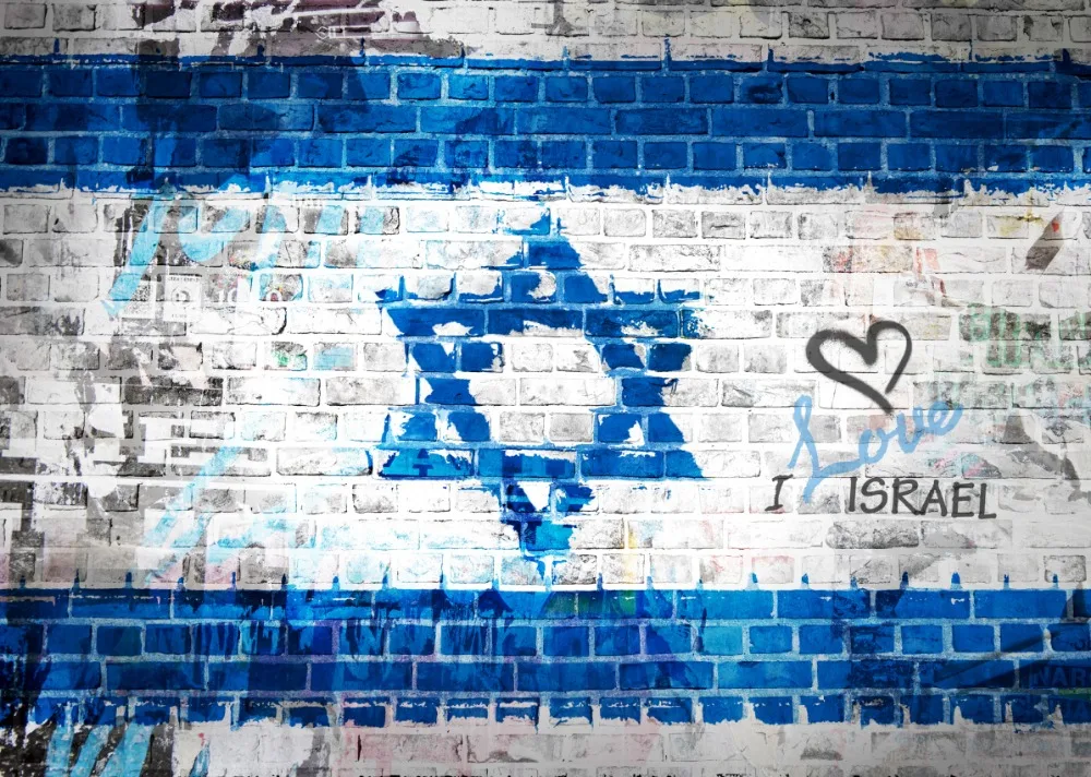 

7x5FT I Love Israel David Star Light Grey Bricks Wall Custom Photo Studio Background Backdrop Vinyl 220cm x 150cm
