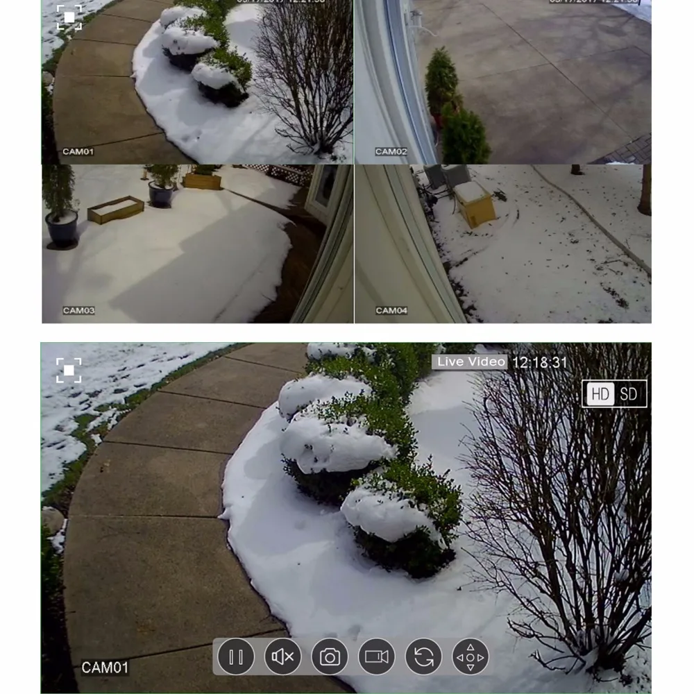 snow
