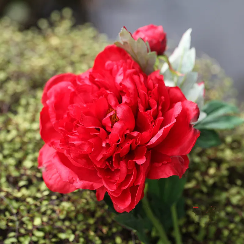 Один Филиал искусственный цветок 60 см шелк пион Высокое качество красивое украшение дома искусственный цветок для свадьбы невесты держа цветок - Цвет: Red