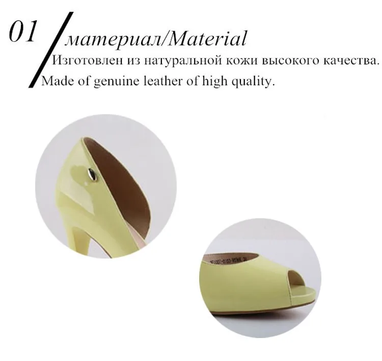 Material Details