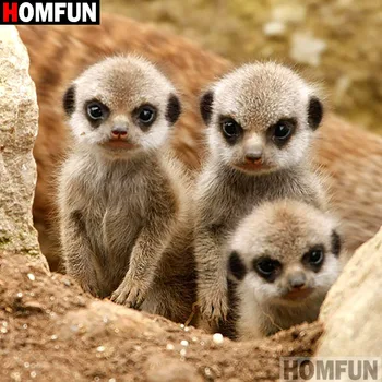 

HOMFUN Full Square/Round Drill 5D DIY Diamond Painting "Animal mongoose" 3D Diamond Embroidery Cross Stitch Home Decor A18926