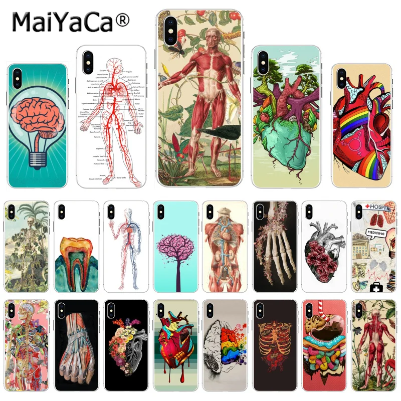 

MaiYaCa Medical Human Organs Brain Meridian Kidney Art Fashion phone case for iphone 11 pro 8 7 66S Plus X 5S SE XR XS XS MAX