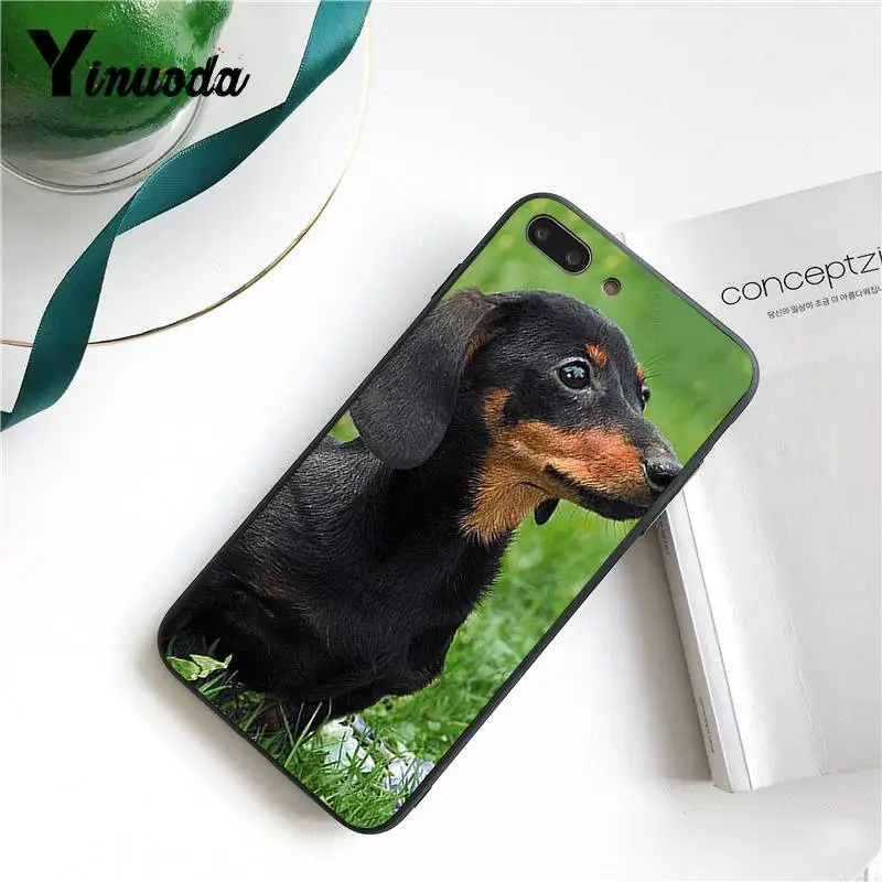 Yinuoda для iPhone 7 чехол черная такса собака добермана лицо Замечательный чехол для телефона для iPhone X 8 7 6 6S Plus X 5S SE XR XS XSMAX - Цвет: 9