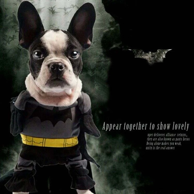 2015 New fashion Spring Spiderman Superman turned ...