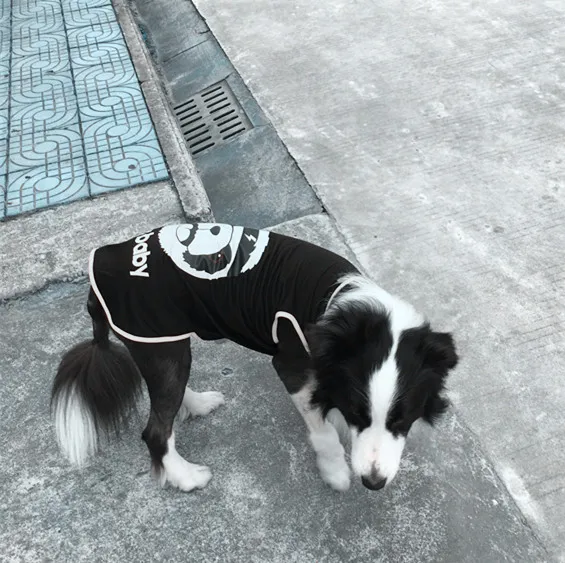 Y71_New_3XL_9XL_Plus_Size_Spring_Summer_Pet_Large_Dog_Vest_Clothes_Bear_T_Shirts_for_Big_Dog_Costume_Apparel_Sportswear_ (8)