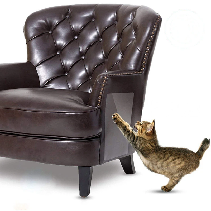 cat leather couch