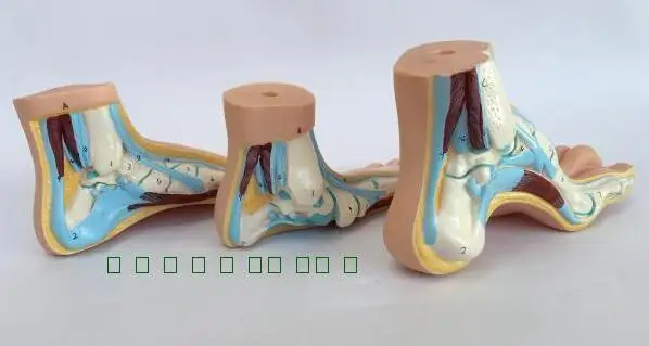 Cheap Ciência médica