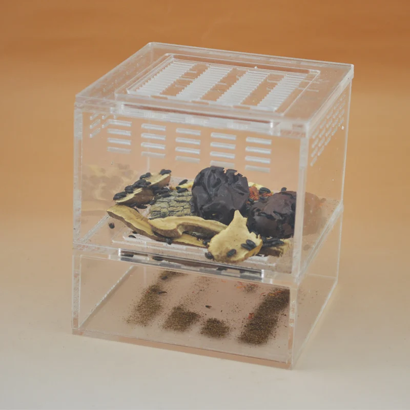 10*11*10 см хлебная жук/или лекарственный Темный Жук Гнездо Акрил, насекомые гнезда вилла новая коробка для питомцев мания дом для разведения насекомых