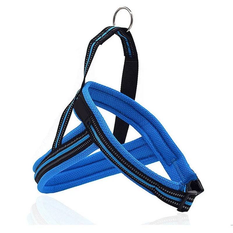 pet products