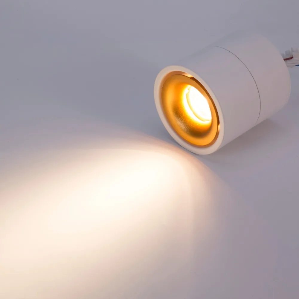 

360 Degree Rotating Indoor Ceiling Light, Surface Mounted Led Ceiling Down Light 5W,10W, Black and White Finished