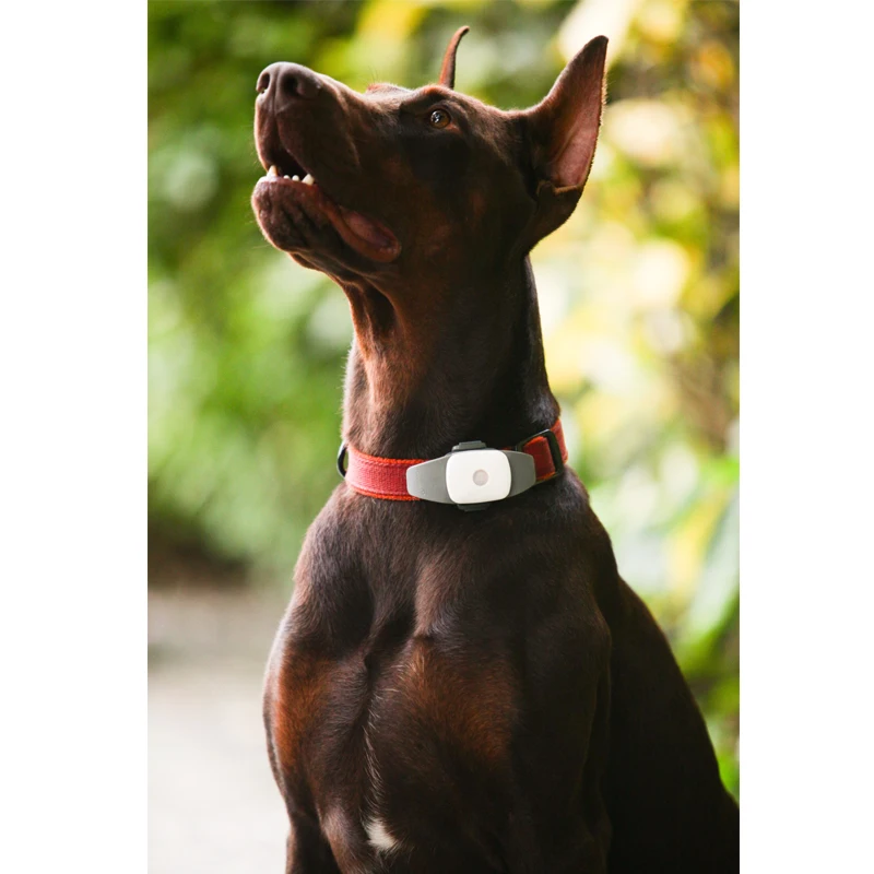 Electronic pet positioning collars, pet anti lost tracker tracking