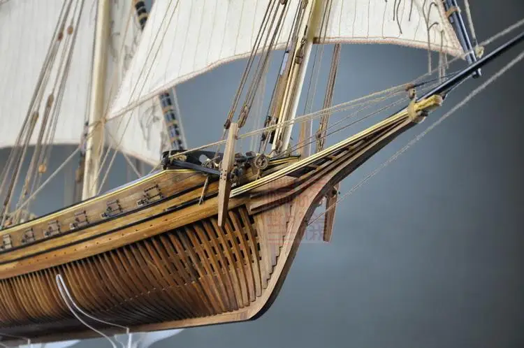 

1/48 Le Requin 121CM jumbo model ship kit wood sailing ship all Frame Wooden Ship Models Master professional level