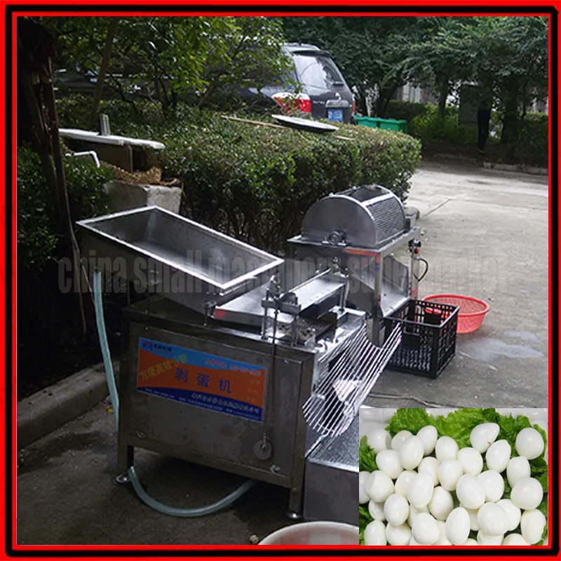 

Low breakrage commercial quail egg sheller machine,quail egge peeler machine,bird egg shelling machine, bird egg peeling machine