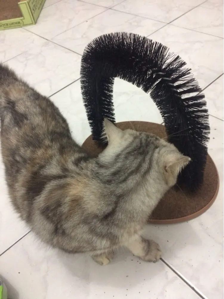 aeProduct.getSubject()