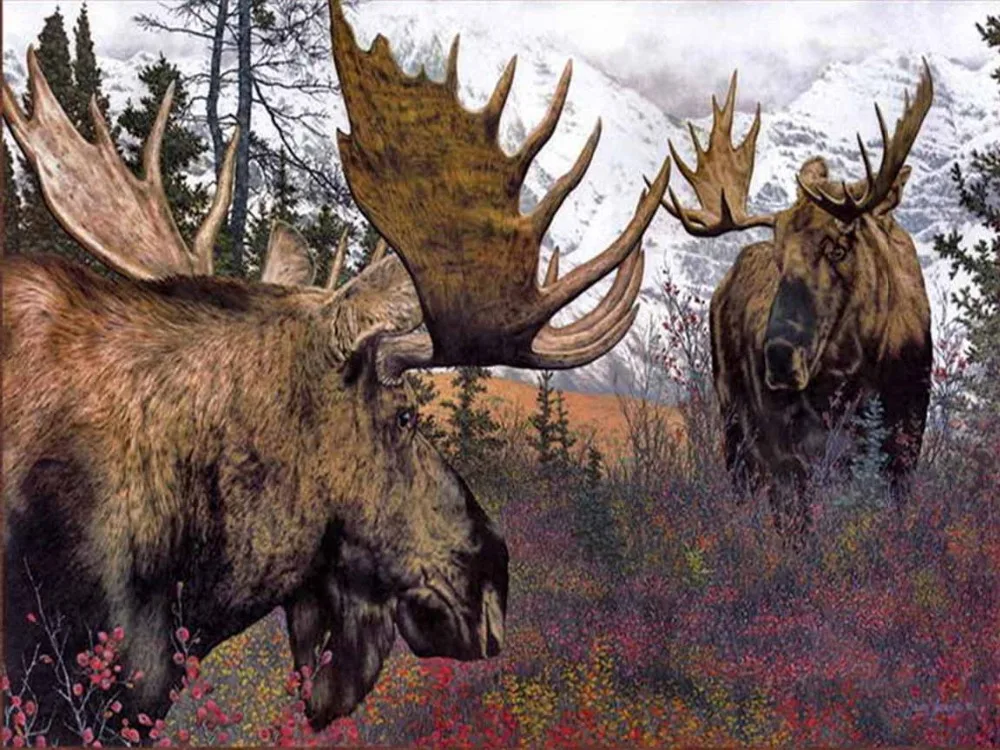 moose painting moose painting