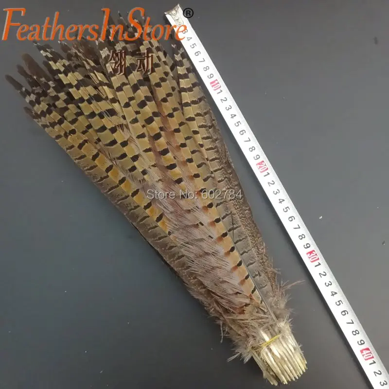 

Free Shipping 100pcs 35-40 14-16inch Natural Ringneck Pheasant Feather dyed Pheasant tail Feather Carnival Feathers Decoration