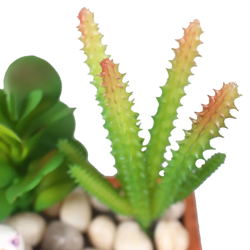 rtificial fleshiness Cactus plant Succulent plants cactus bonsai local landscape decorative flower for box decoration (8)