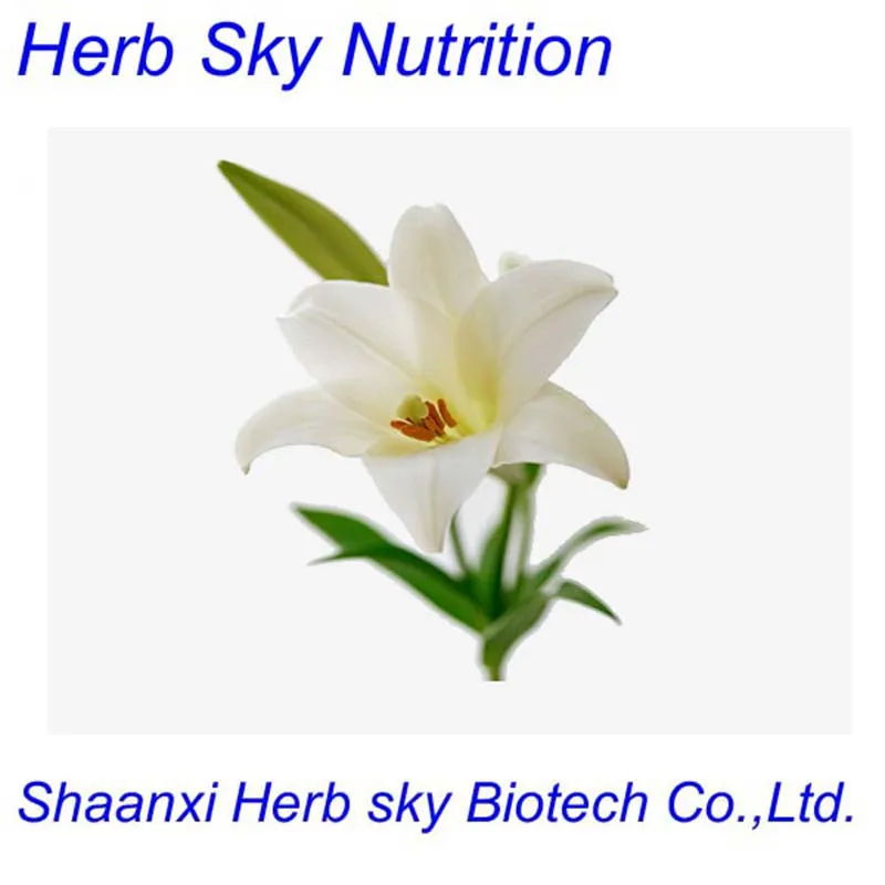 Wild Lily Extract Powder/White Lily Bulb Extract 300g/lotextract