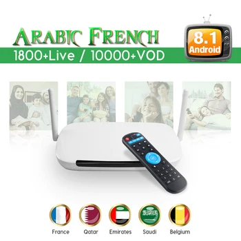

Leadcool IPTV Arabic Android 8.1 Q9 TV Receivers 1 year code QHDTV RK3229 2G 16G IPTV Subscription France Italy No APP Include