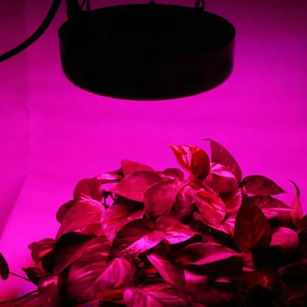

Wholesale 5band 50*1W Led Grow Light Panel,high quality with 3years warranty,dropshipping