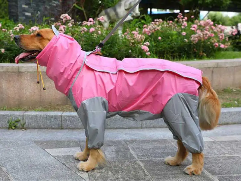 Pet большой плащ для собак из двери прогулки водонепроницаемый съемный дождевик защита от воды одежда для больших собак DOGGYZSTYLE - Цвет: gray and pink