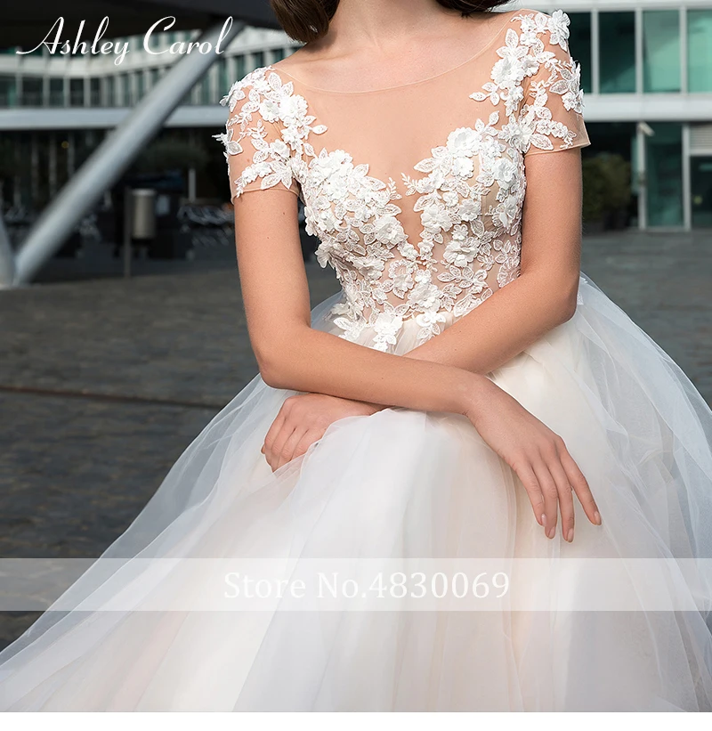 Эшли Кэрол Illusion A-Line свадебное платье 2019 Sexy v-образным вырезом развертки поезд индивидуальные Элегантное свадебное платье с открытой спиной