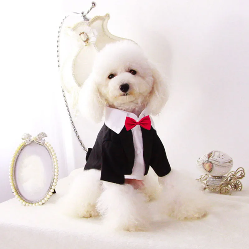 

Black Pet Clothing for Dogs Puppy Pet Clothes Male Dog Suit Tuxedo Wedding Costume Chihuahua Apparel for Small Dogs and Cats