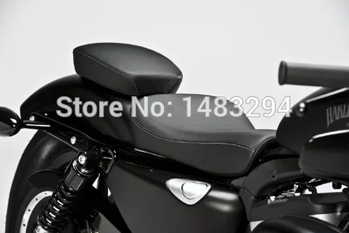 2013 Sportster Iron 883(11)