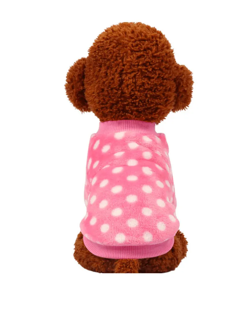 winter clothing for chihuahua