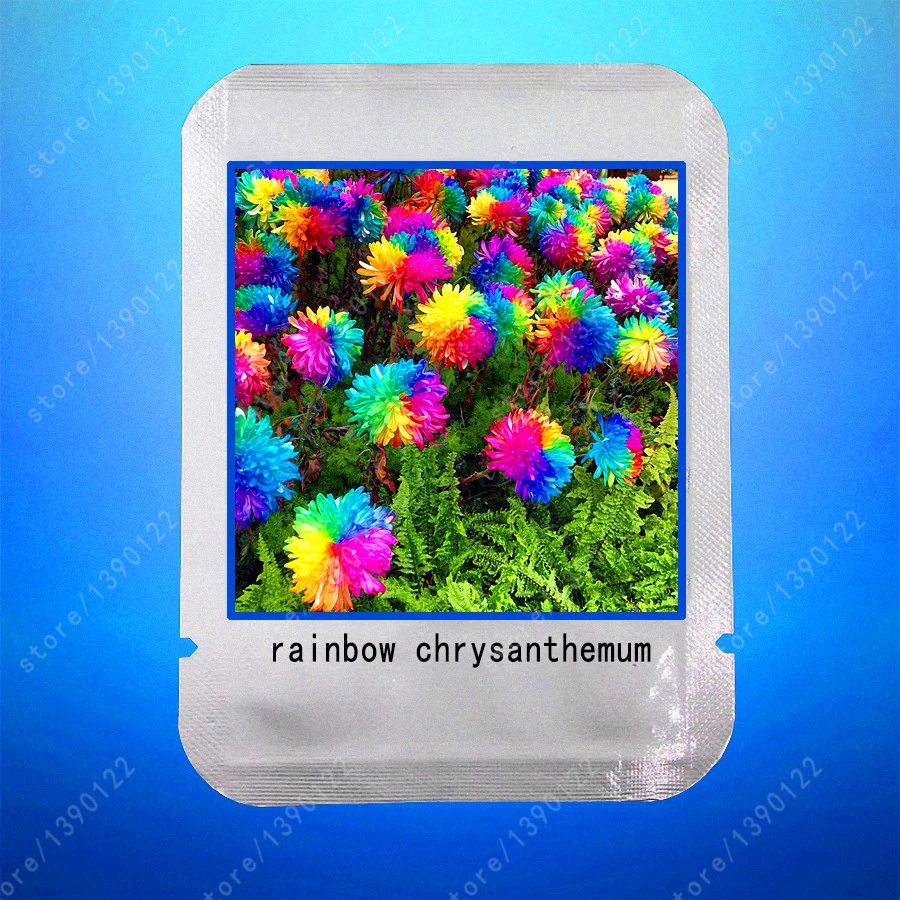Online Buy Wholesale rainbow daisies from China rainbow daisies