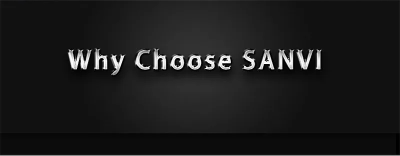 professional car lights supplier SANVI (1)