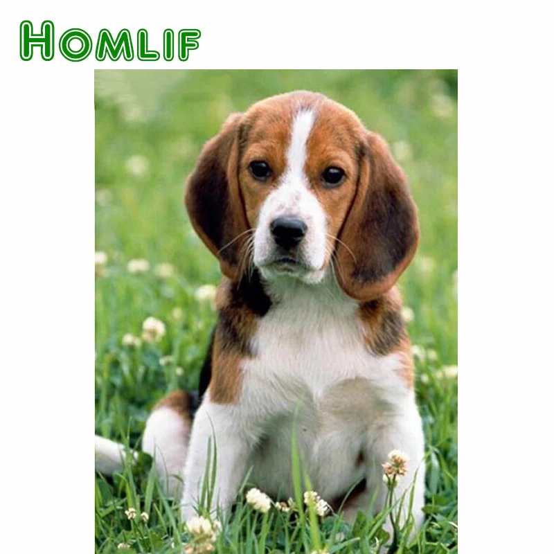 

HOMLIF Diamond mosaic,accessories,Beagle Dogs Pet,Diamond Painting Full Round,5D Diy Diamond picture With Rhinestones Embroidery