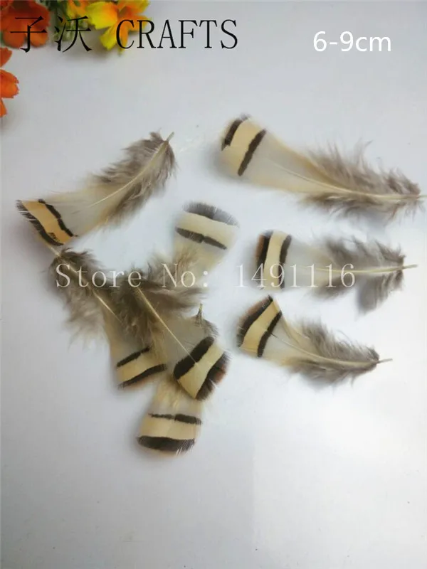 Разнообразие птиц! 10/20/100/500 шт./упаковка натуральные фазаньи|natural pheasant feathers|pheasant