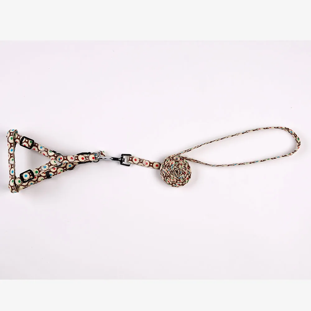 SKU-5 dog leash and harness set