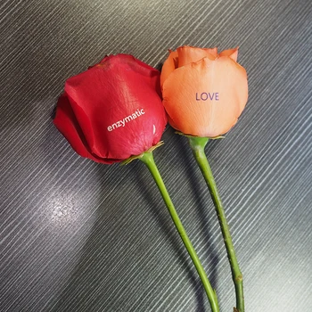 

Small size A3 size LED UV Printer Rose Printer For printing Flowers