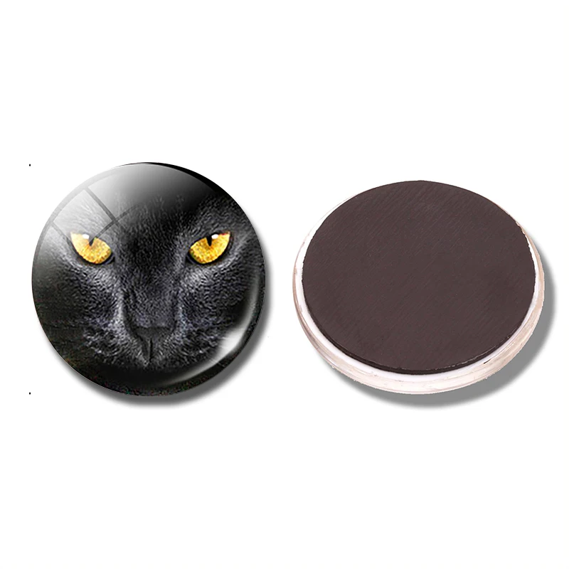 

Black Cat with Golden Eyes Decorative Refrigerator Message Magnets Animals Fridge Magnets Sticker Cute Home Decor
