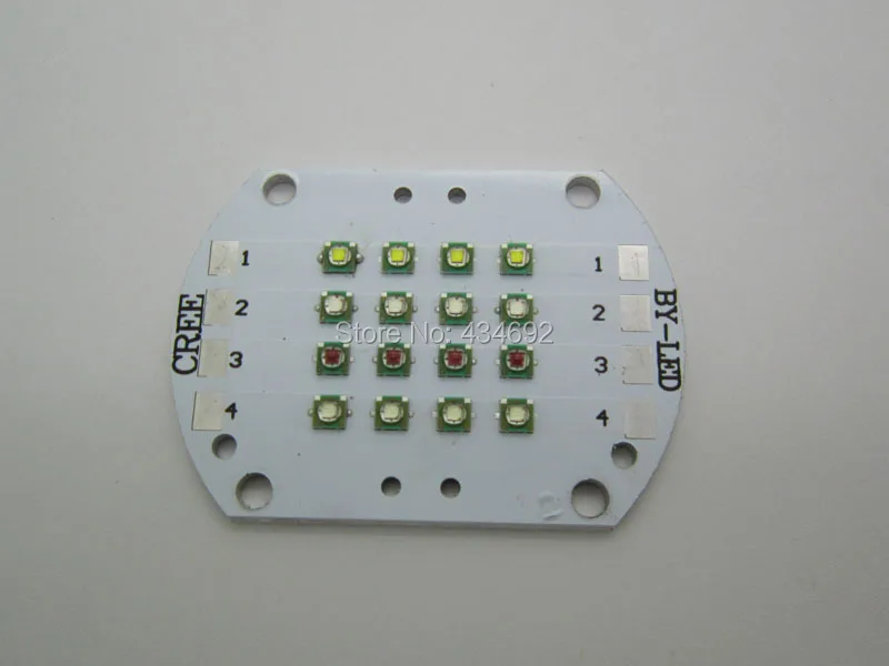 XPE RGBW 4 (1)