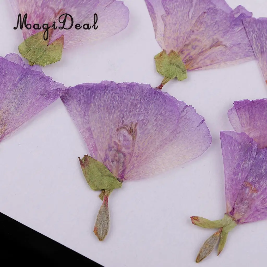 12pcs Beautiful Godetia Real Pressed Natural Dried Flowers for Art Craft Scrapbooking Card Making Resin Jewelry Making Craft DIY