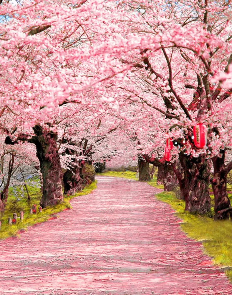 

5x7ft Spring Pink Flowers Tree Photography Backdrops Photo Props Studio Background